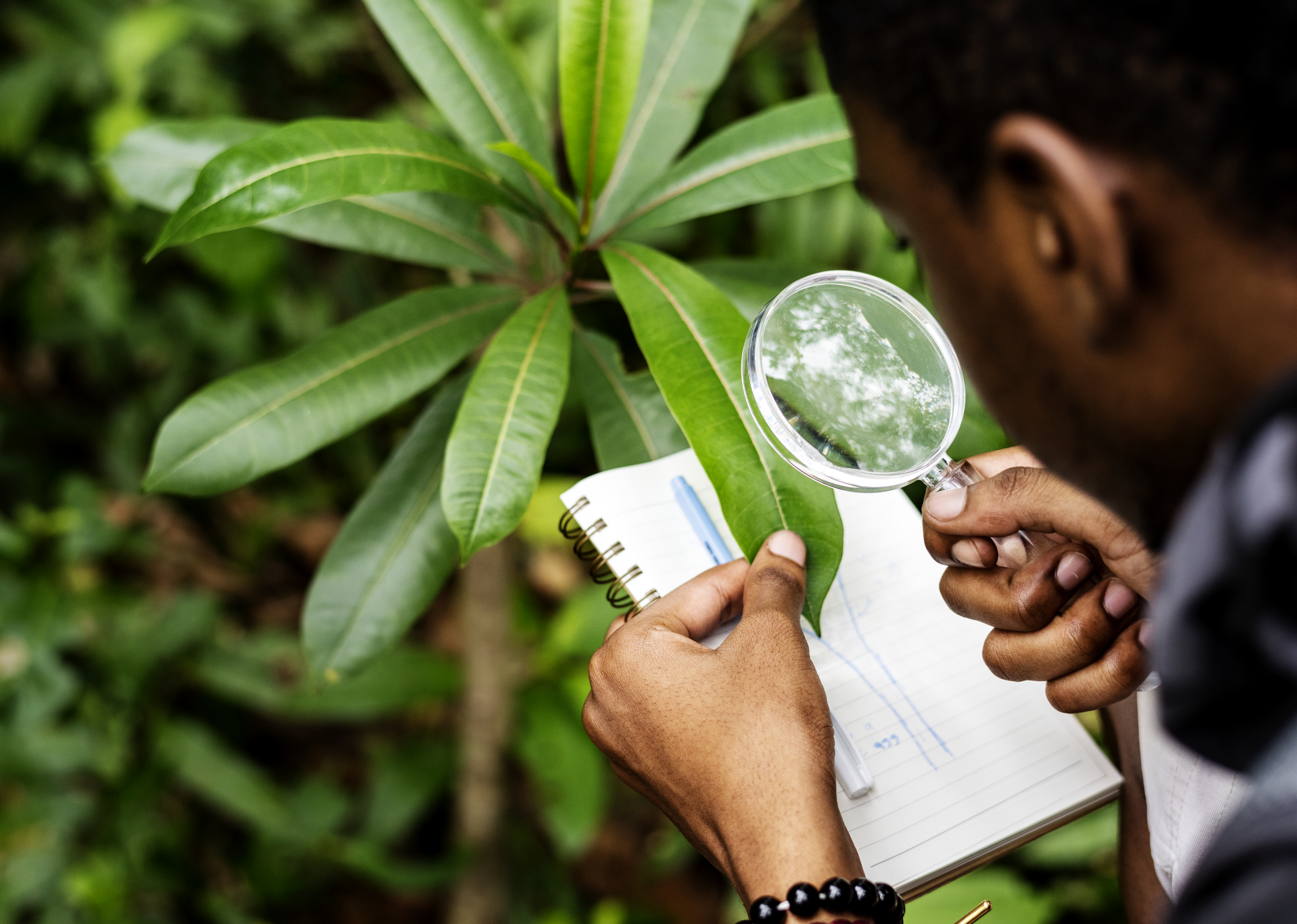 Environmental Impact Assessments