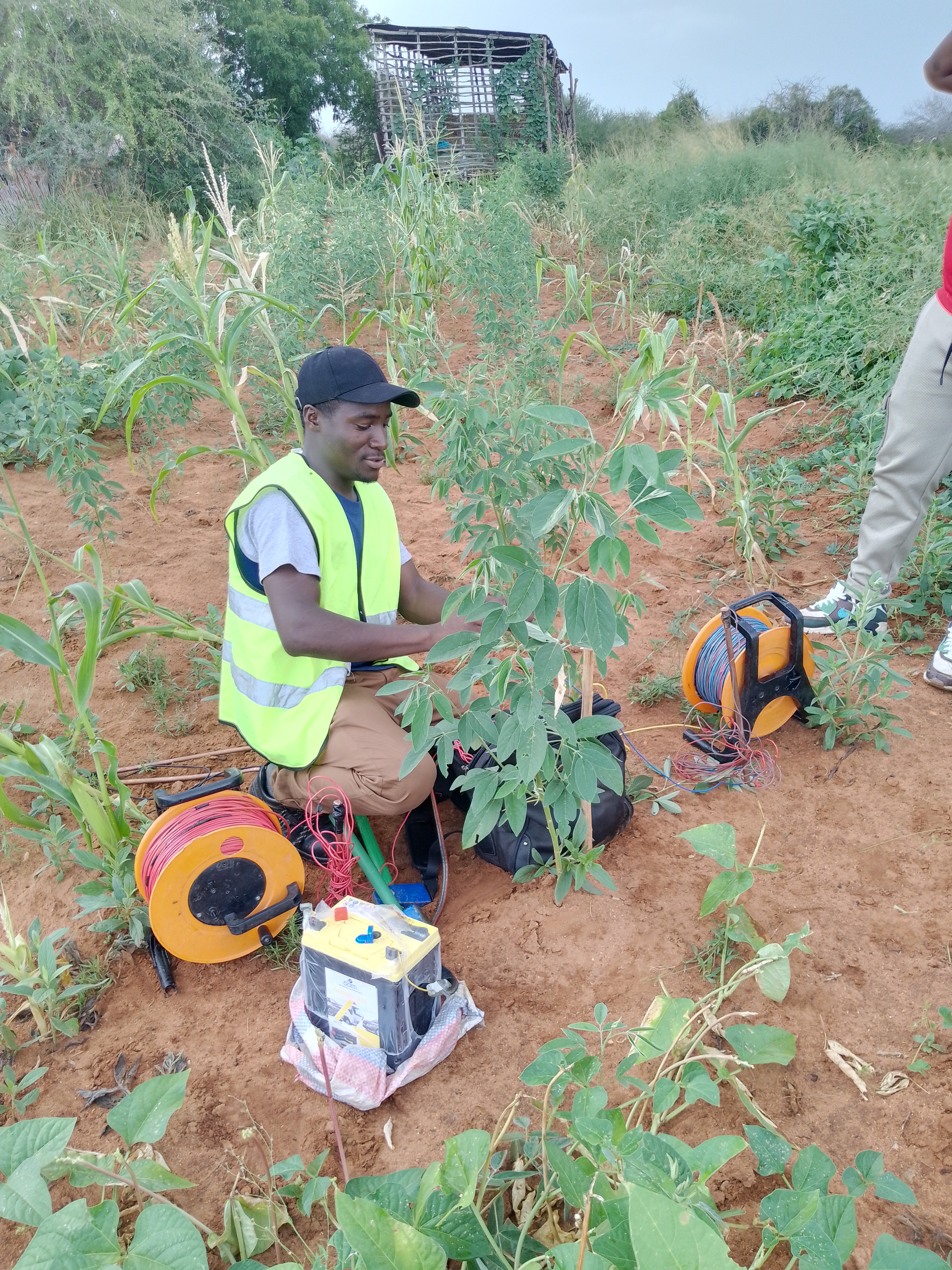 Hydrogeological Survey